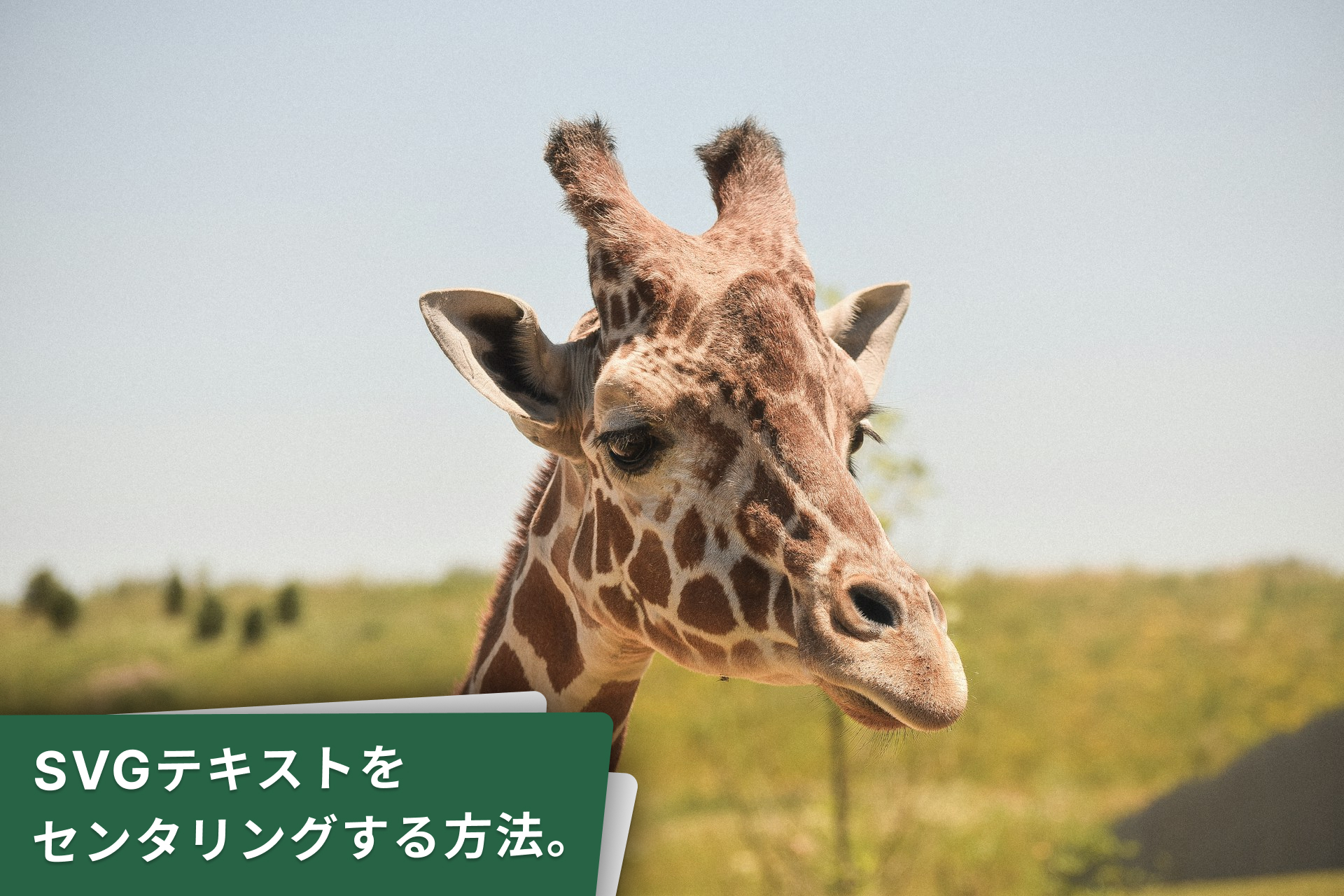 SVGテキストをセンタリングする方法。Safariの挙動を解決。