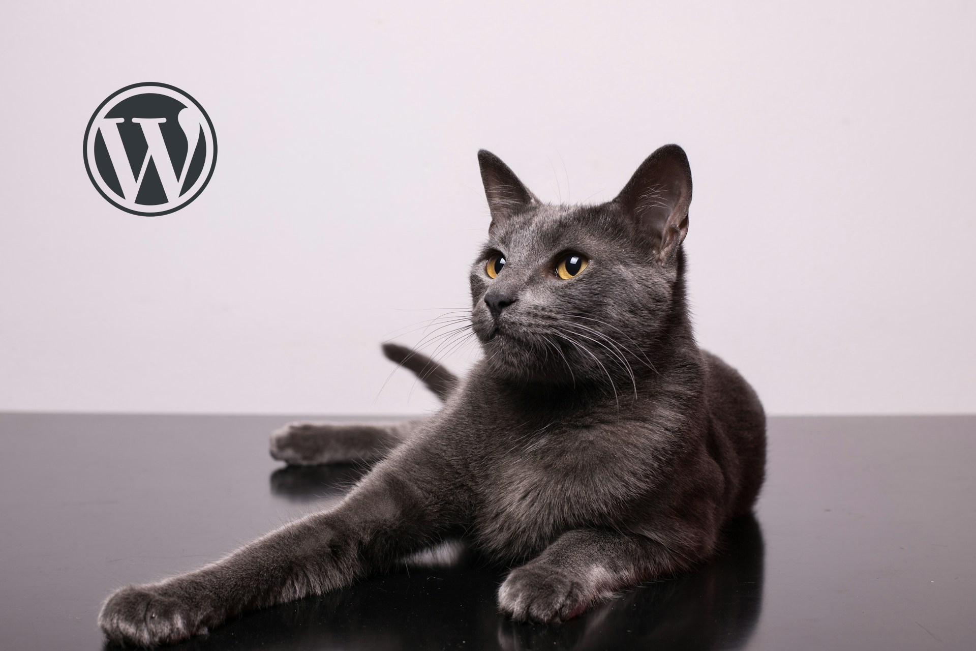 WordPress pタグを投稿記事から削除する方法。