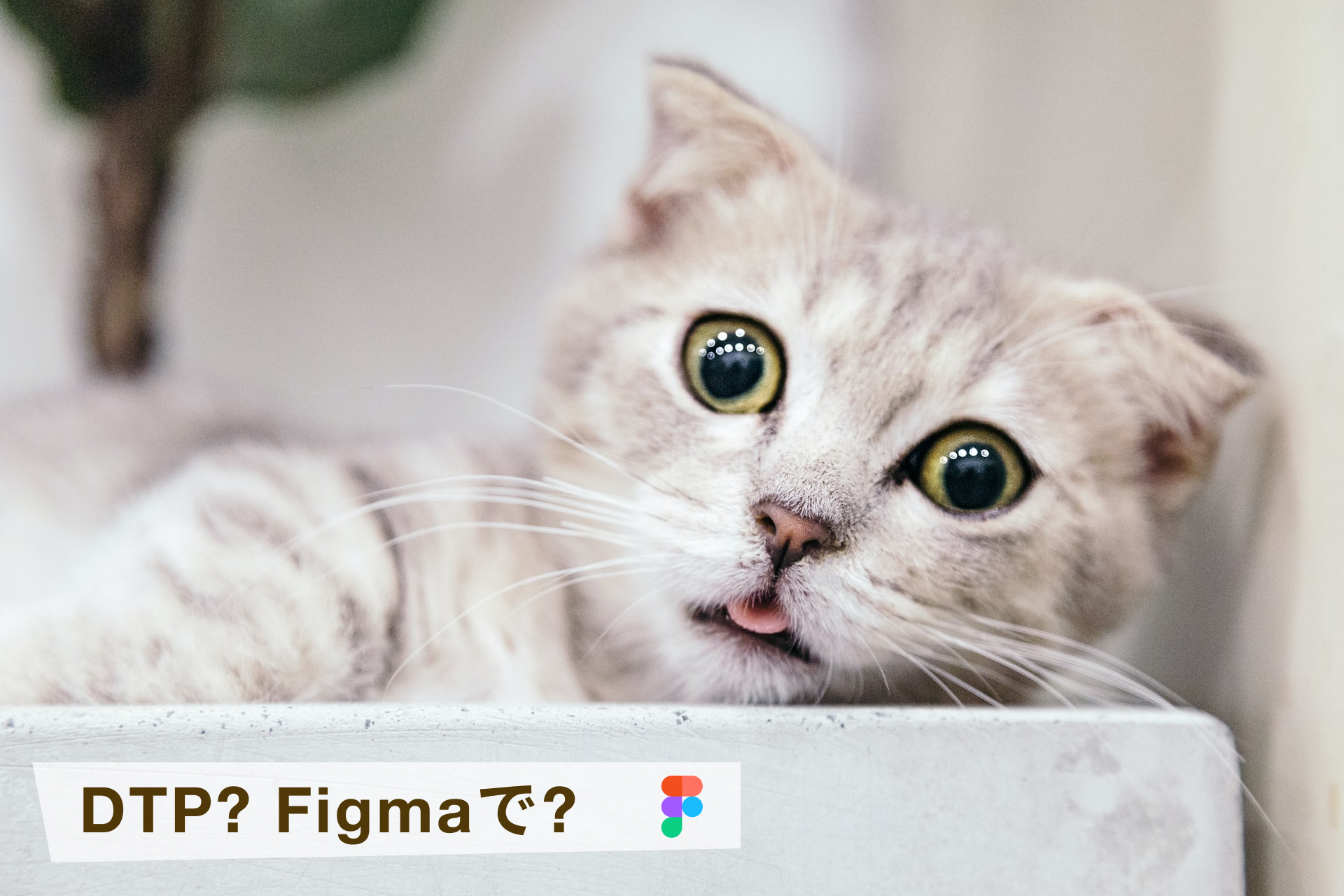 Figma（フィグマ）で印刷物。DTPプラグインPrint for Figma。