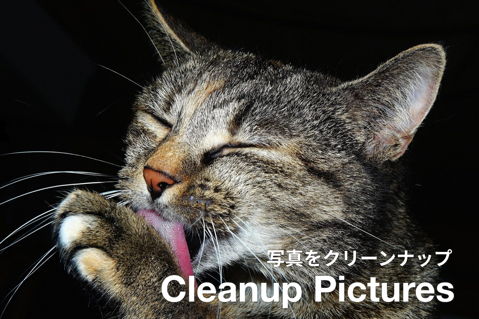 写真の一部を消すオンラインツール、Cleanup Pictures。