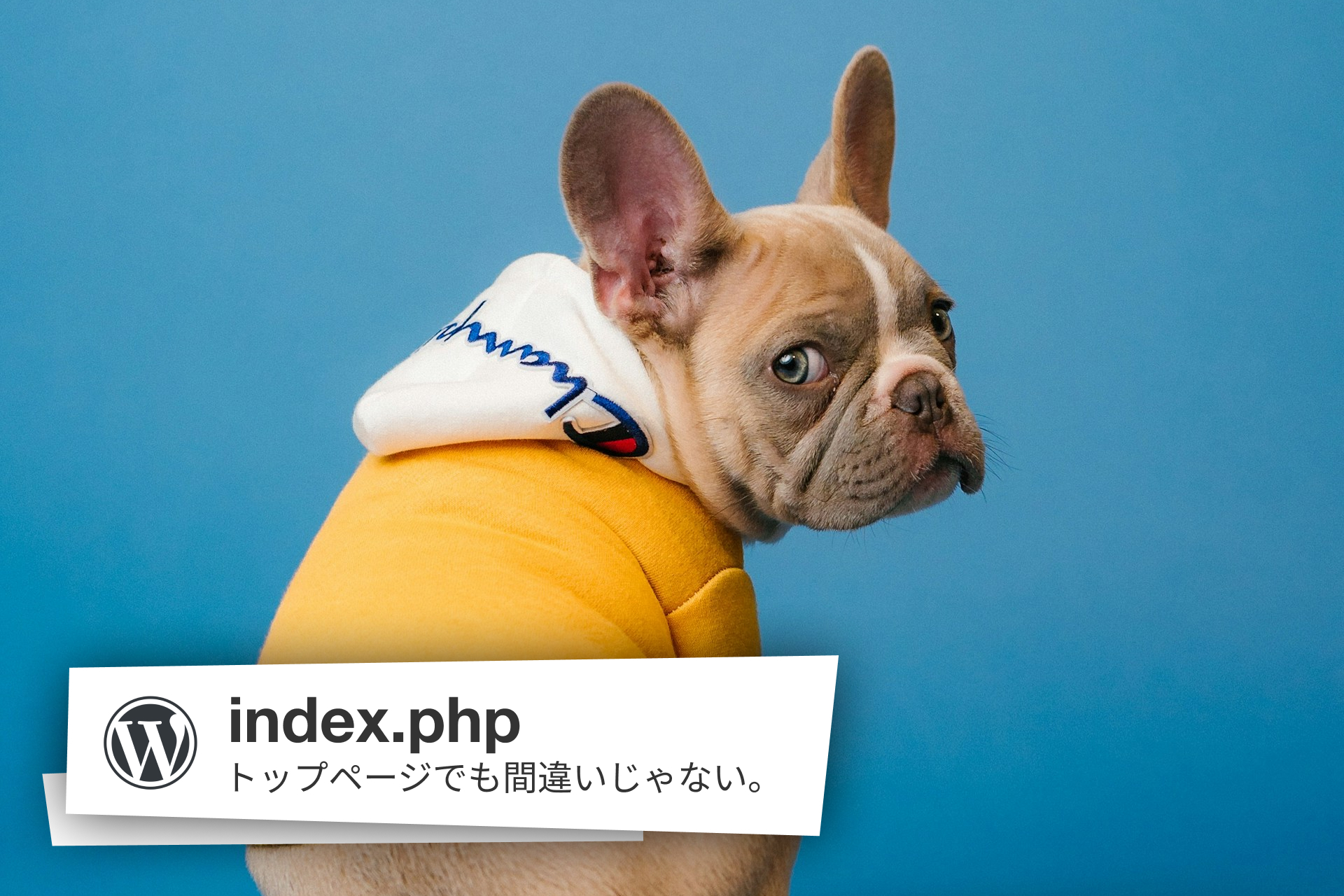 front-page.phpやhome.phpが表示されないとき。