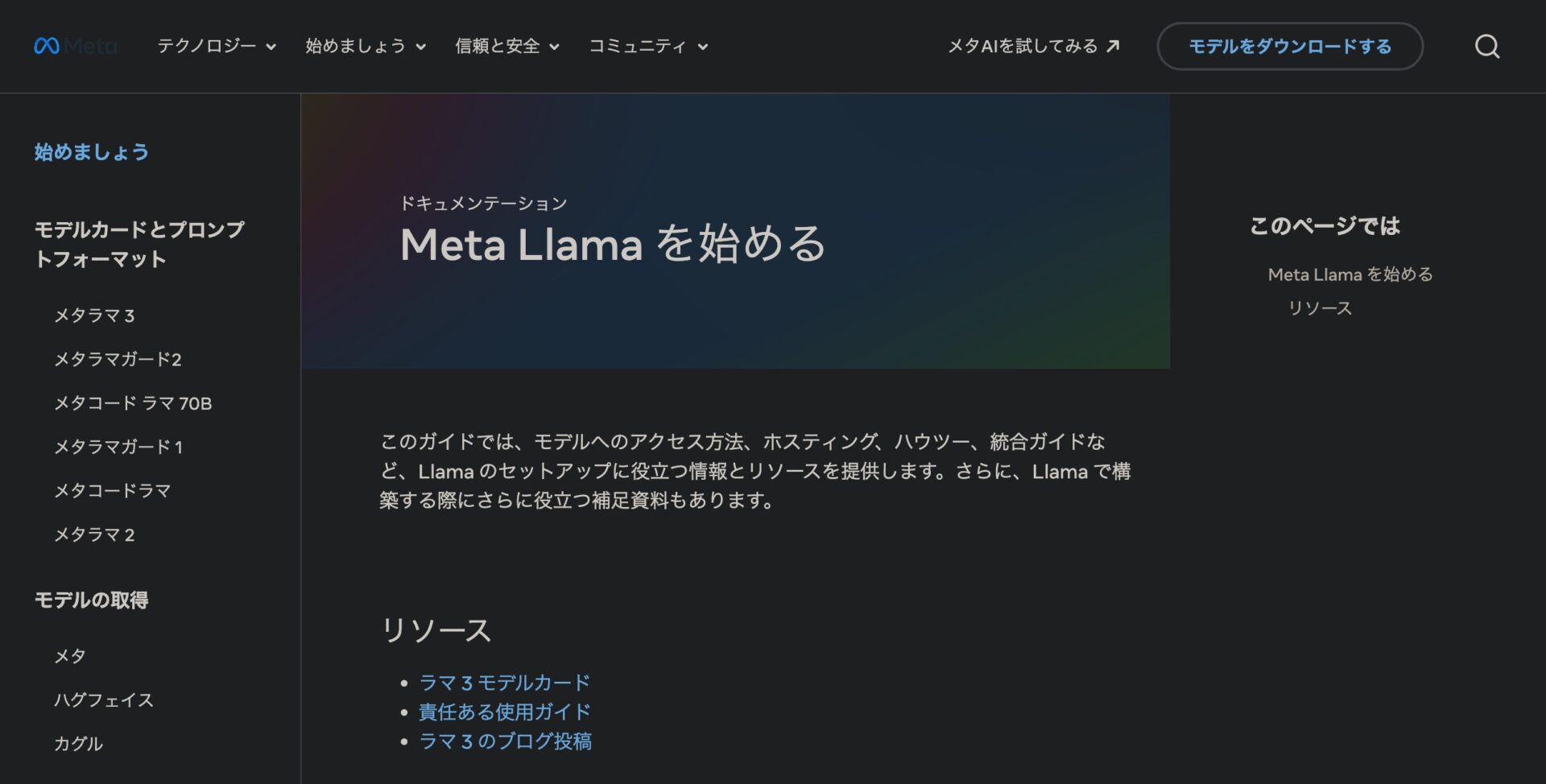 Meta Llamaの使い方、始め方の画面。
