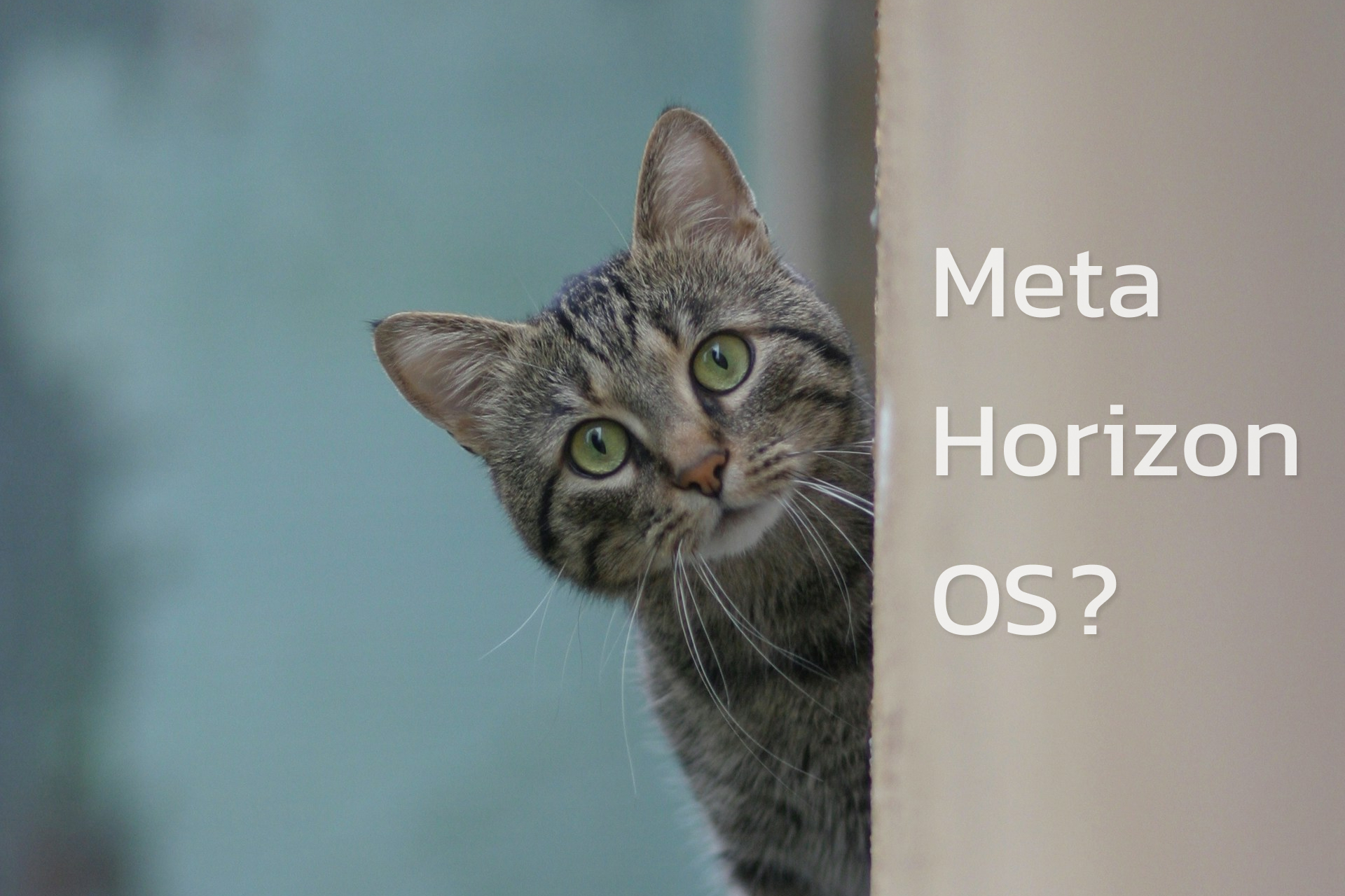 Meta Horizon OSとApple Vision Proの違い。オープンとクローズ。