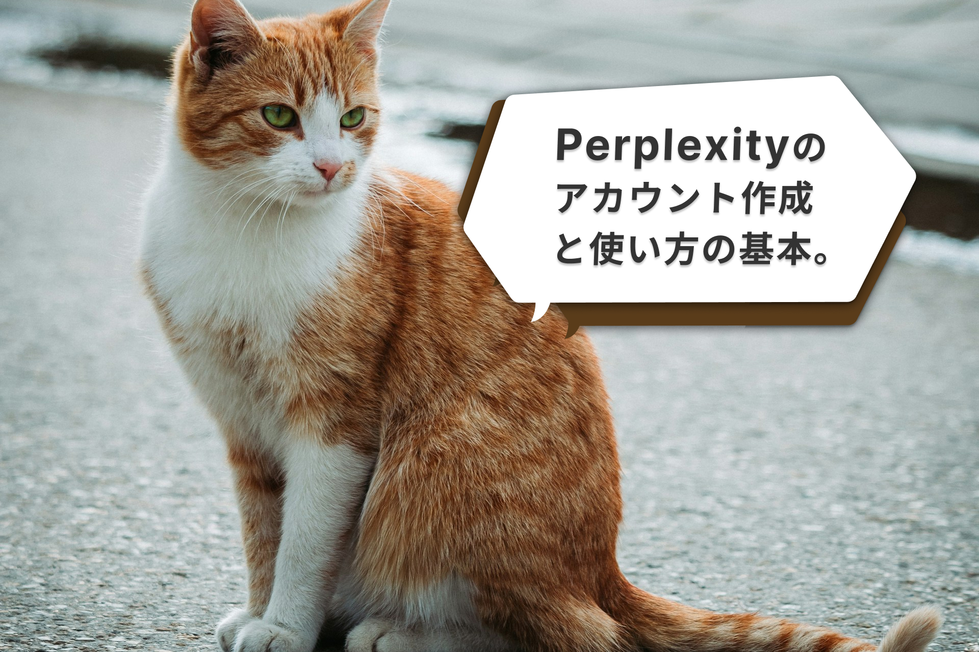 Perplexityのアカウント作成と使い方の基本。