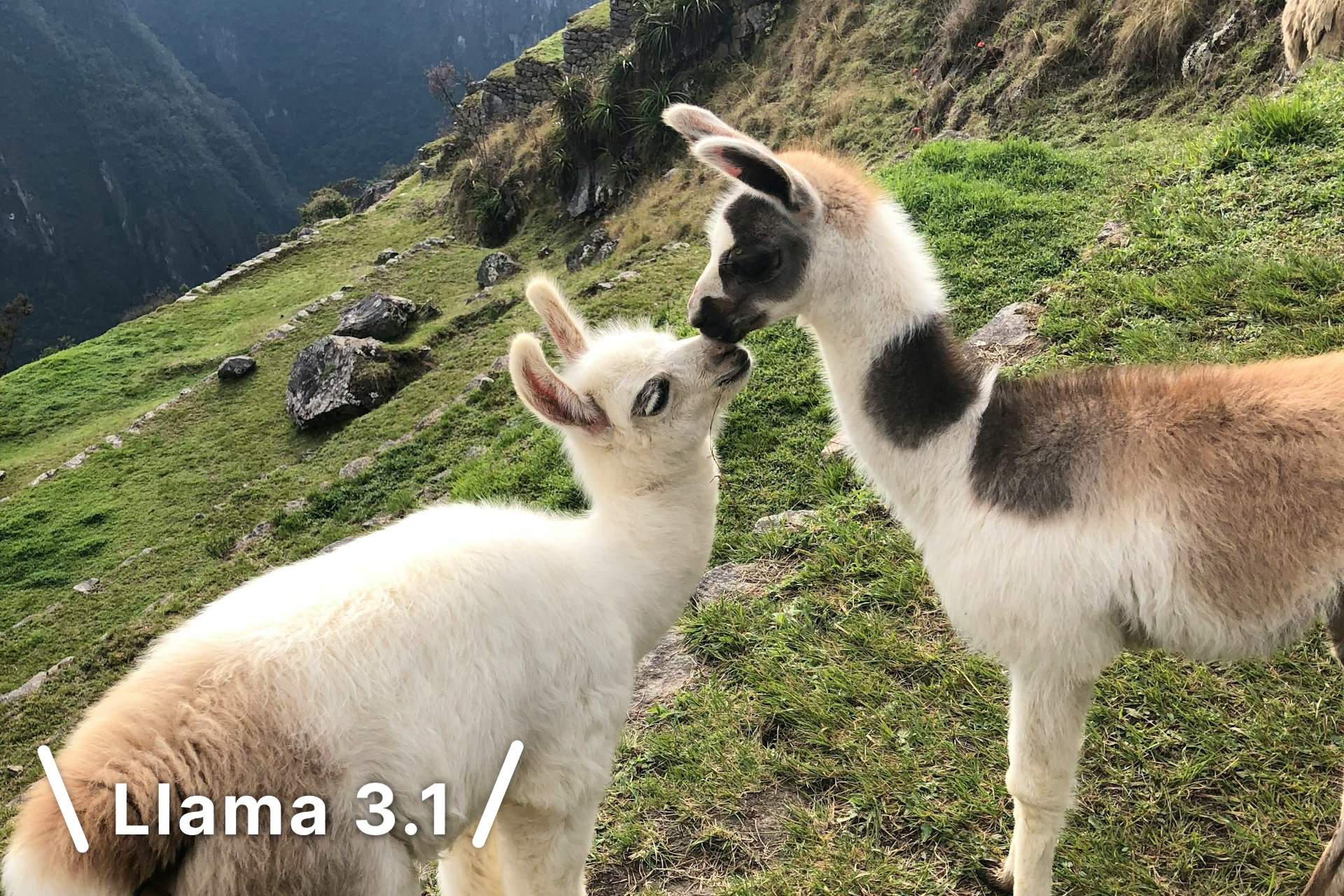 Llama 3.1の使い方やダウンロードの仕方など。