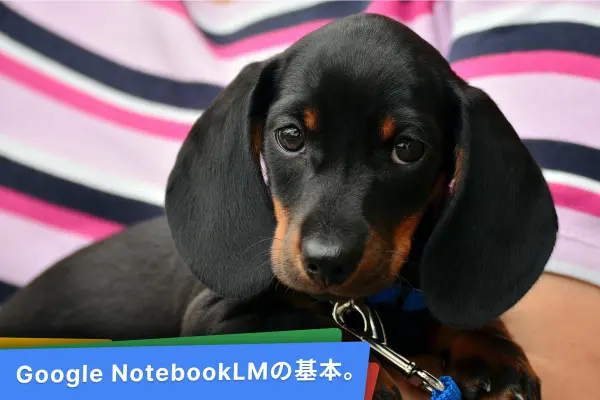 NotebookLMの使い方と検証結果。