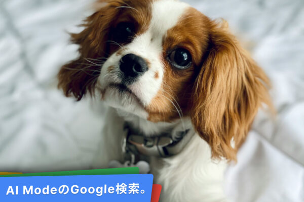 AI ModeのGoogle検索。スマホもパソコンもAIモードで。