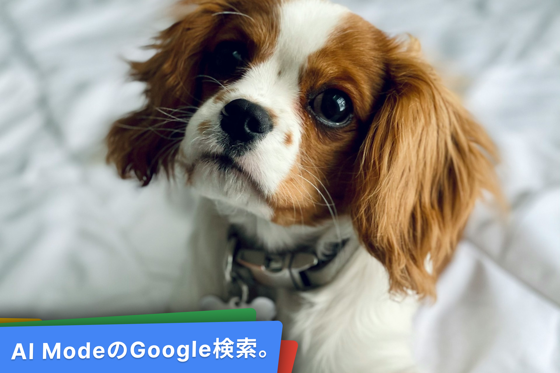 AI ModeのGoogle検索。スマホもパソコンもAIモードで。