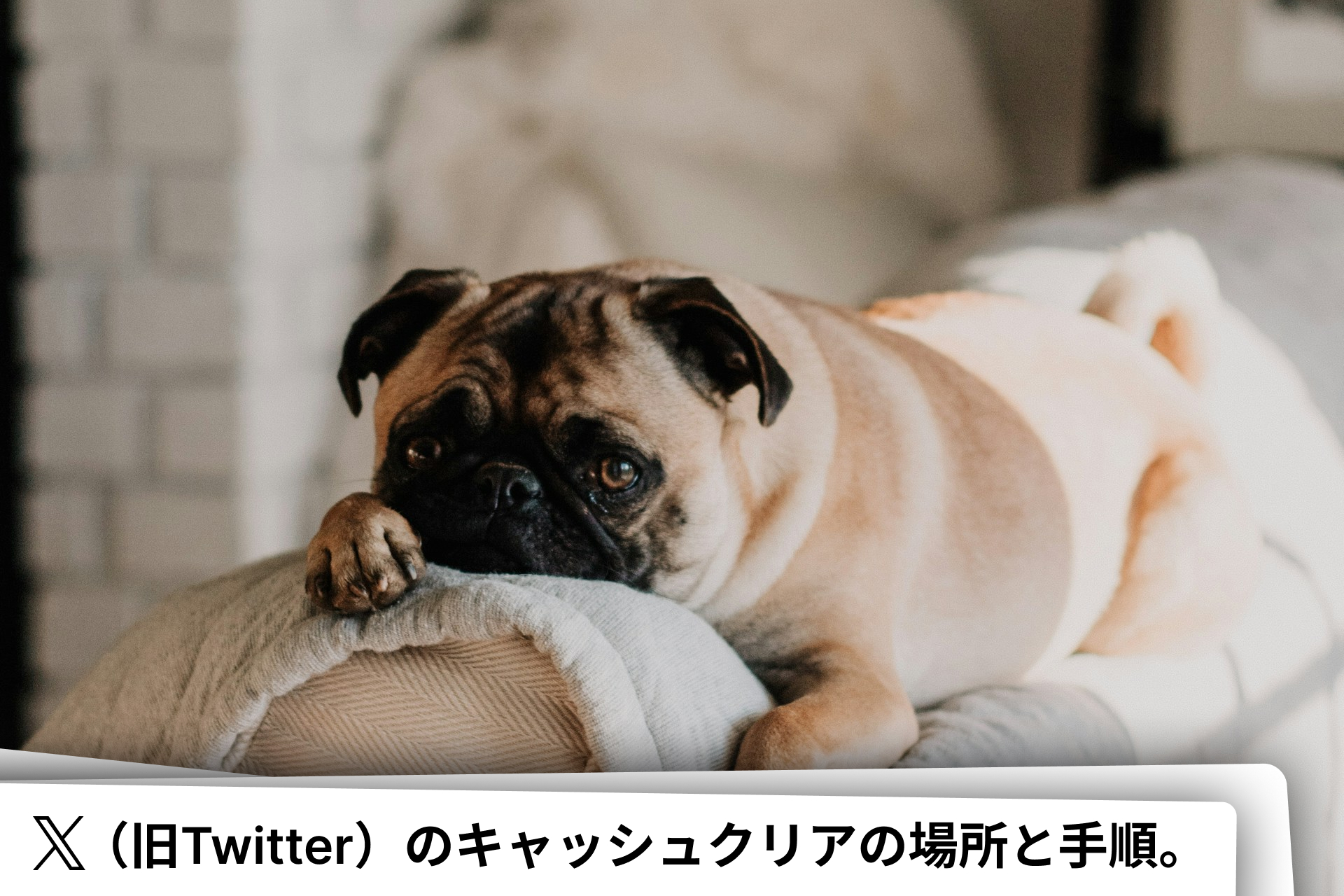 X(Twitter)のキャッシュクリアの手順。ストレージを削除。