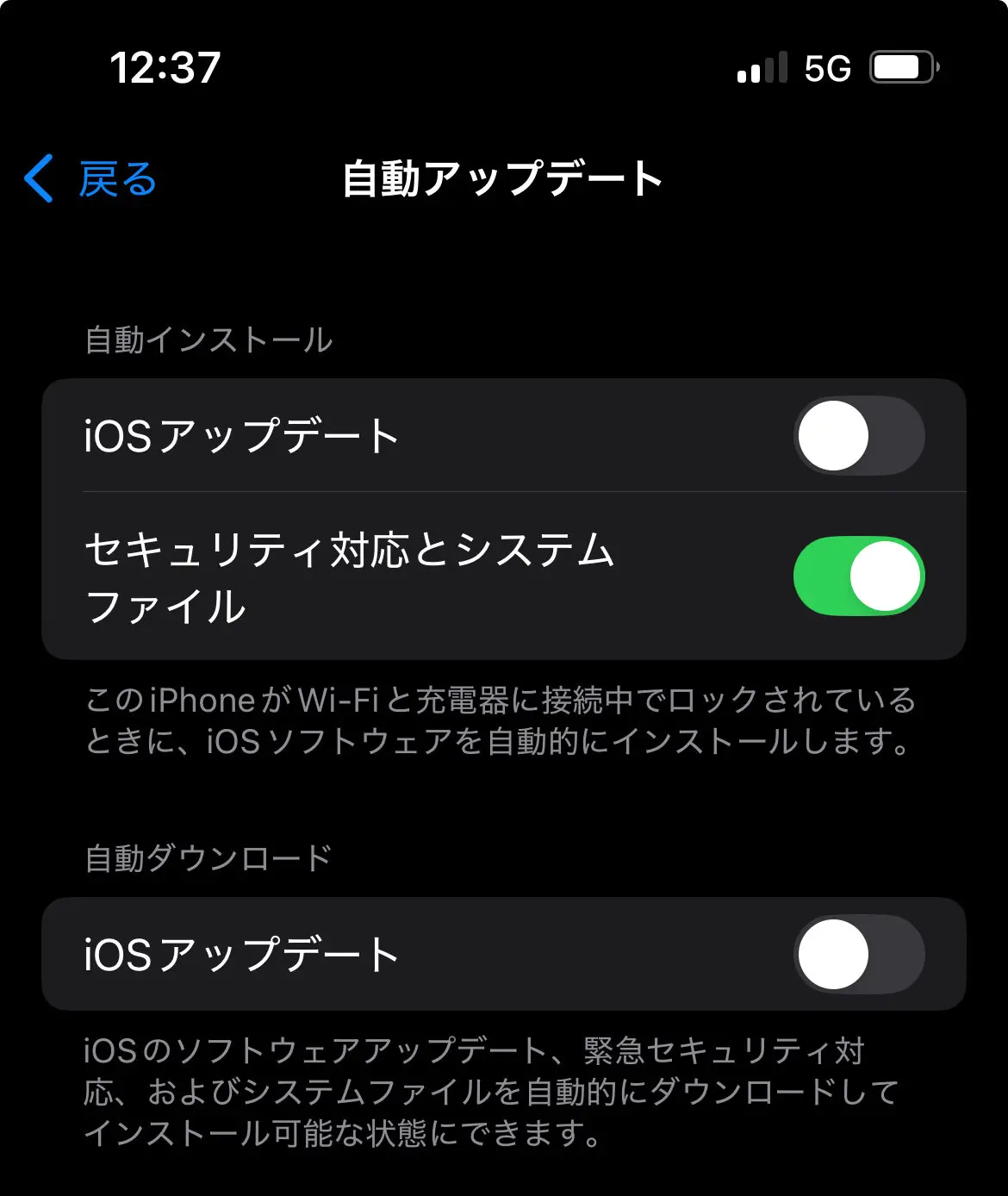 iPhoneの自動アップデートの画面。