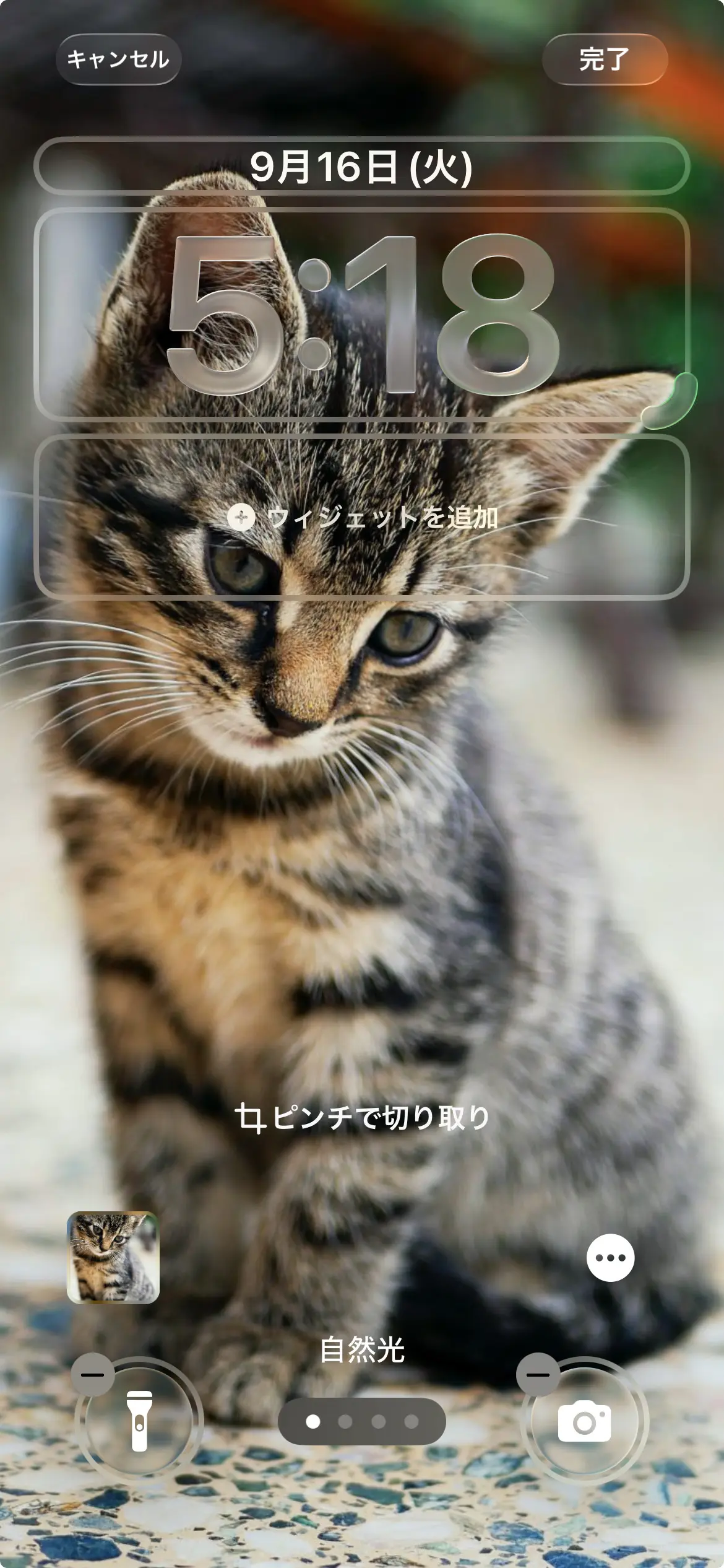iOS 26の色調補正の画像例。元画像。