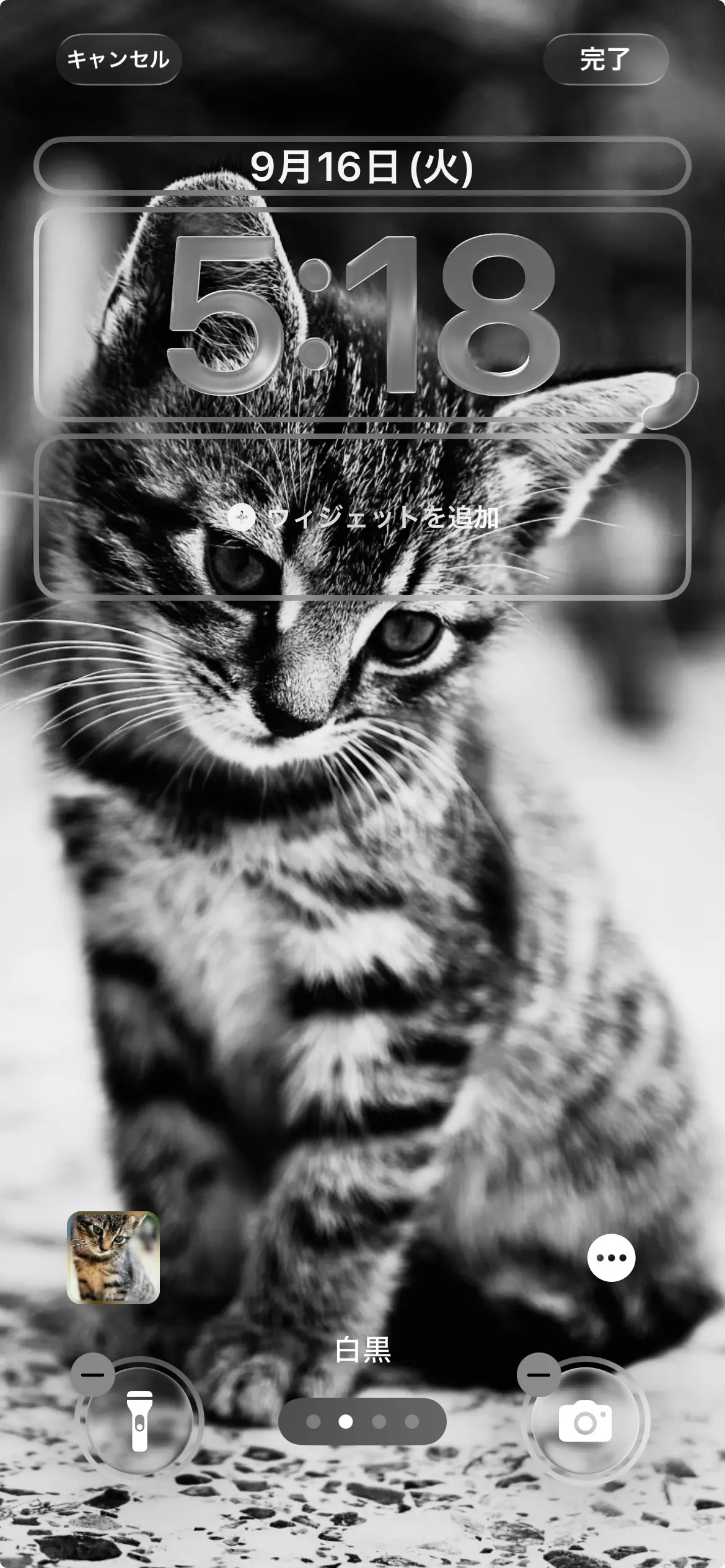 iOS 26の色調補正の画像例。モノクロ調。