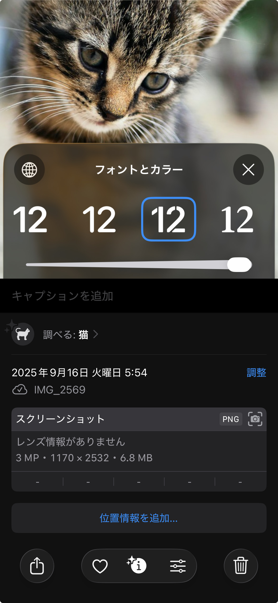 iOS 26のカメラの画像形式の画像。