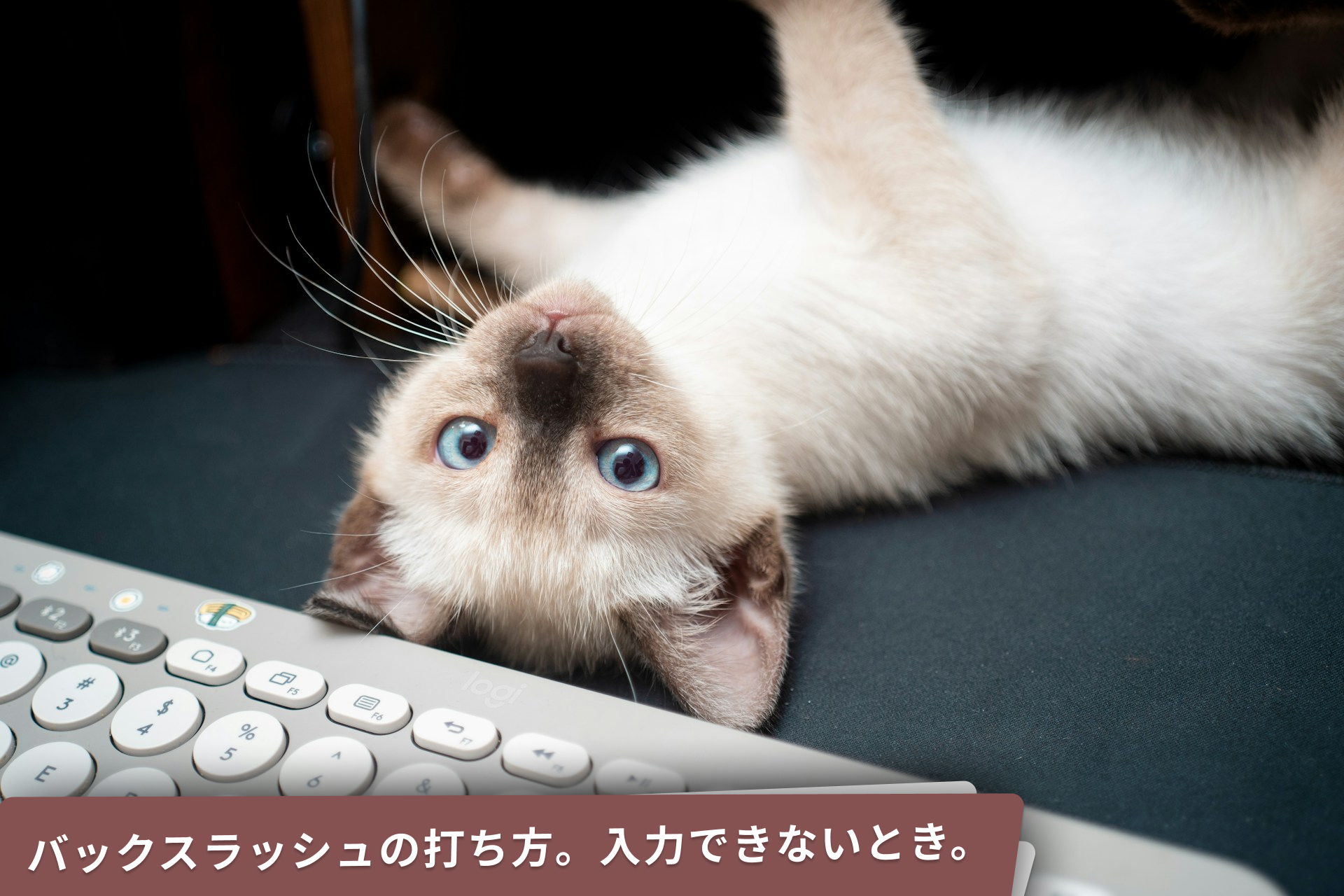 バックスラッシュの打ち方。入力できないときのイメージ。