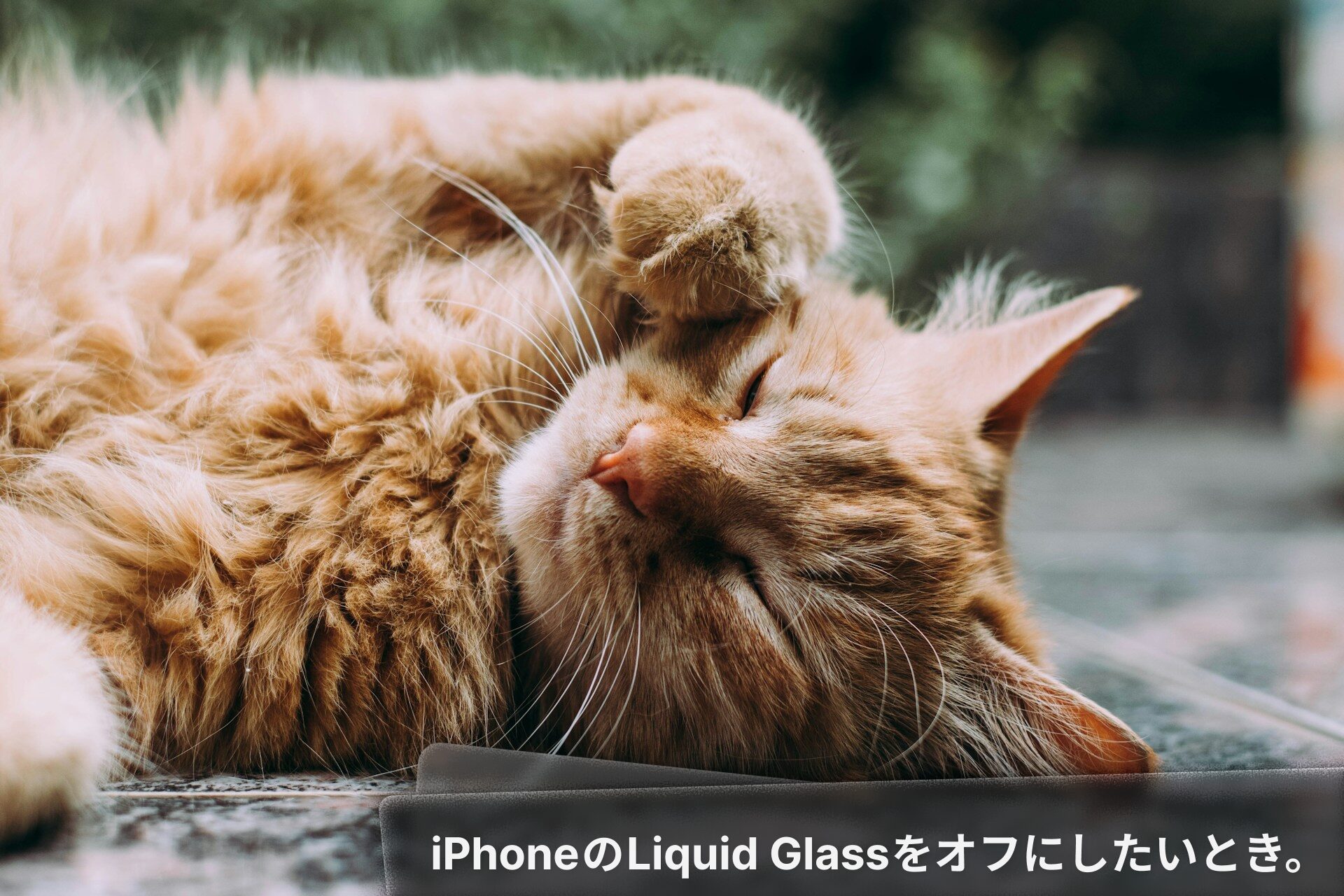 Liquid Glassを無効化、オフの方法。