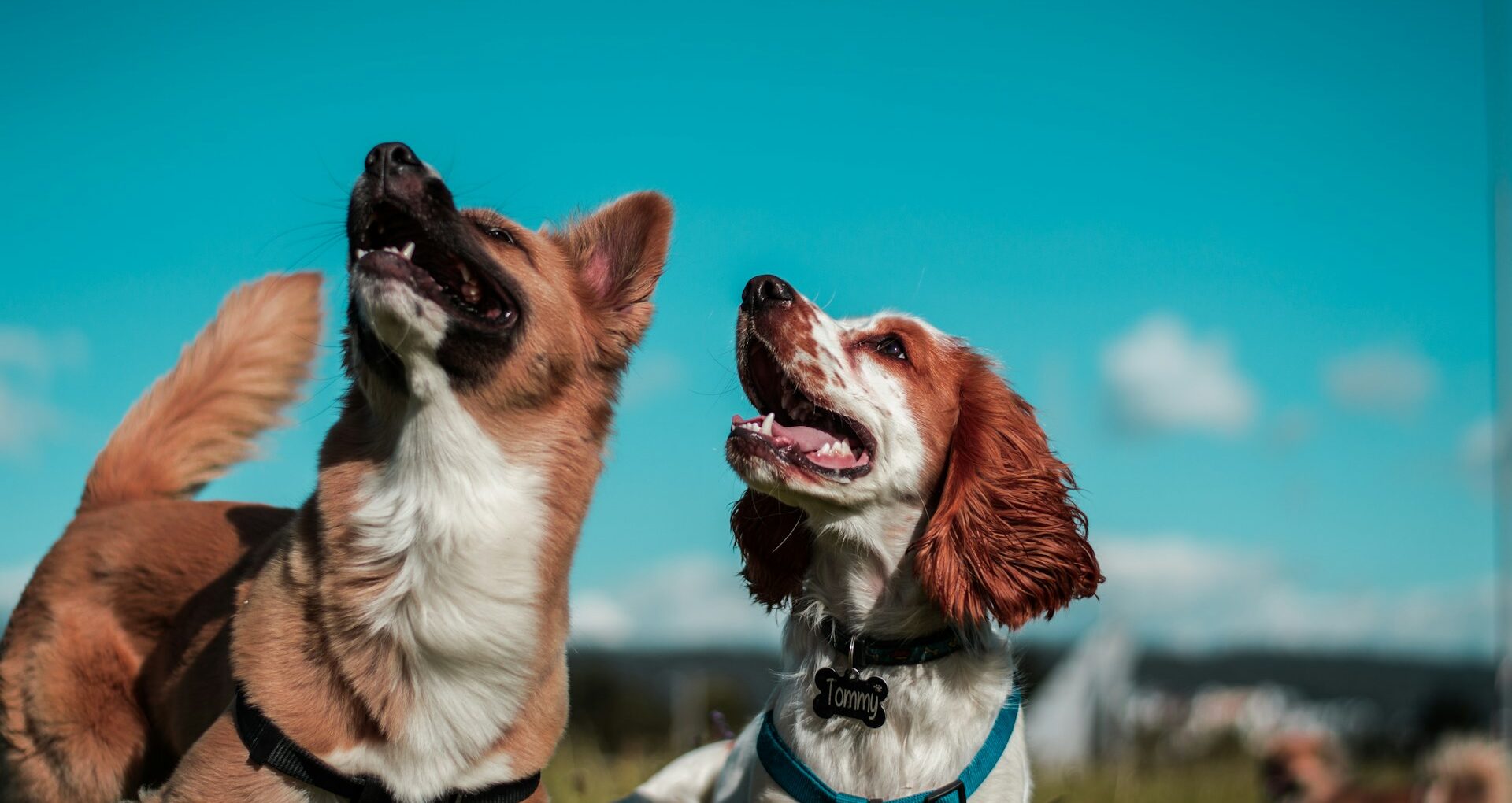 AIとフェイク画像事例。問題と対策イメージ。