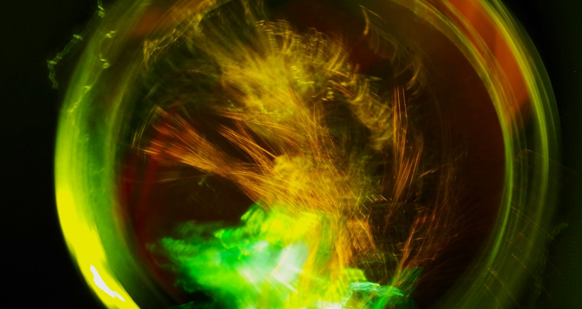 画像認識とハルシネーションのイメージ。