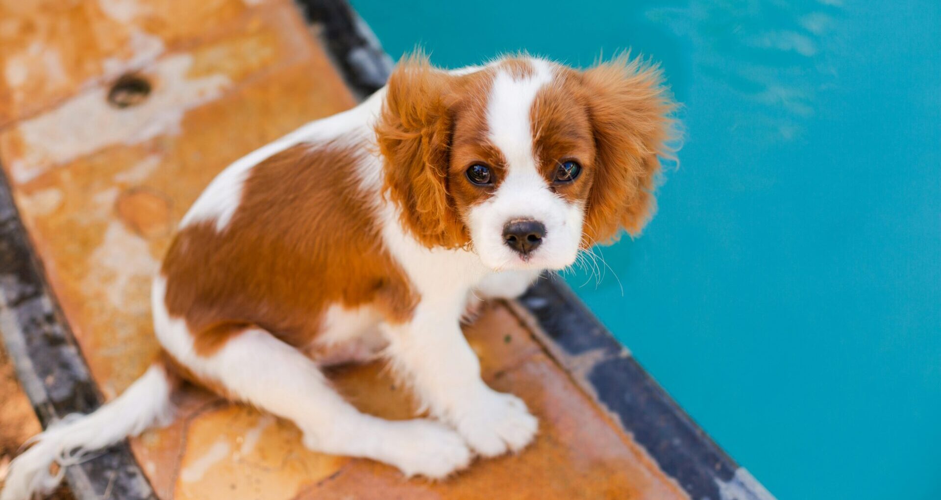 Gemini 3。検索や、アプリ、Google AI Studioでも使えるイメージ。