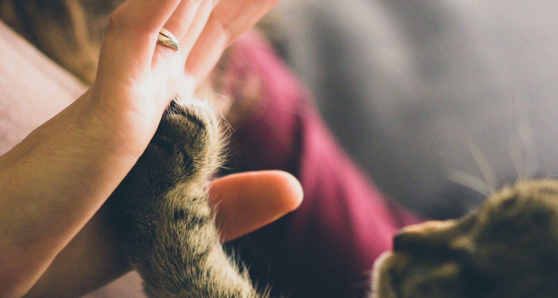 ChatGPTの性格設定。会話をしやすくするイメージ