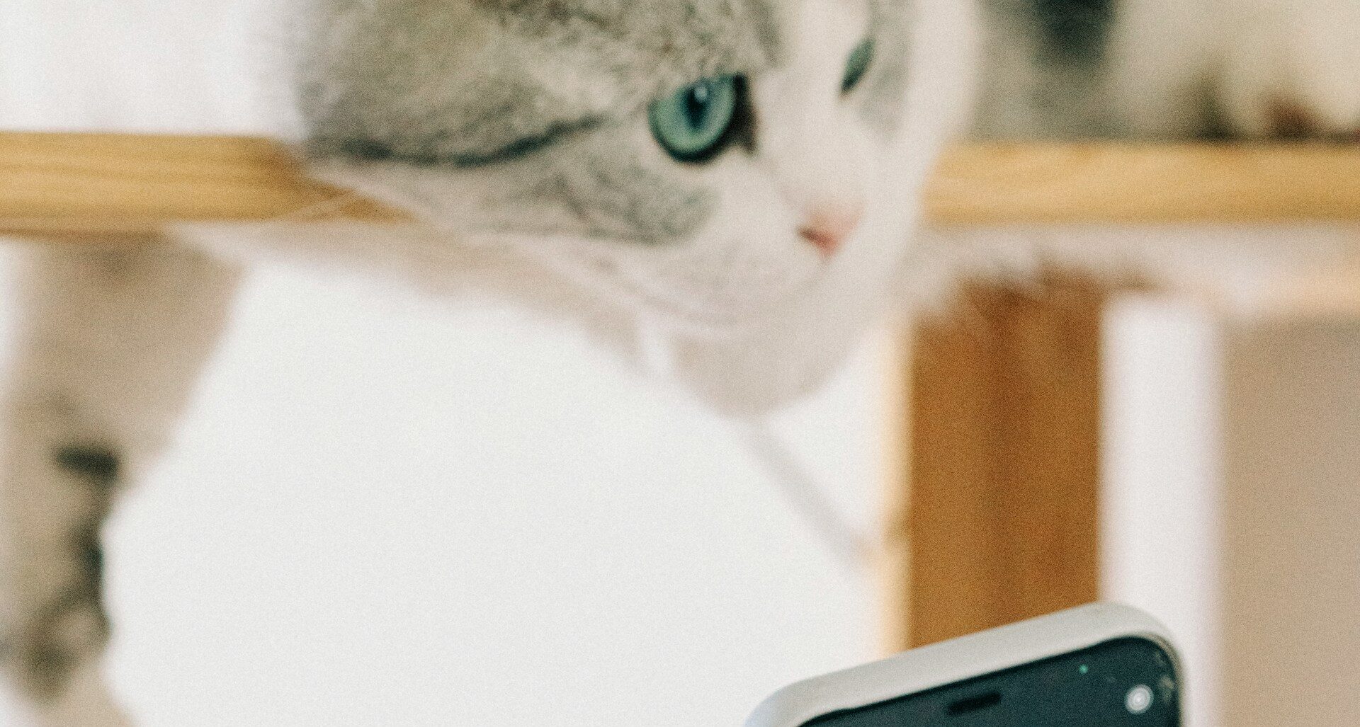 iPhoneの誤発信を防止。履歴をタップして発信しないように。