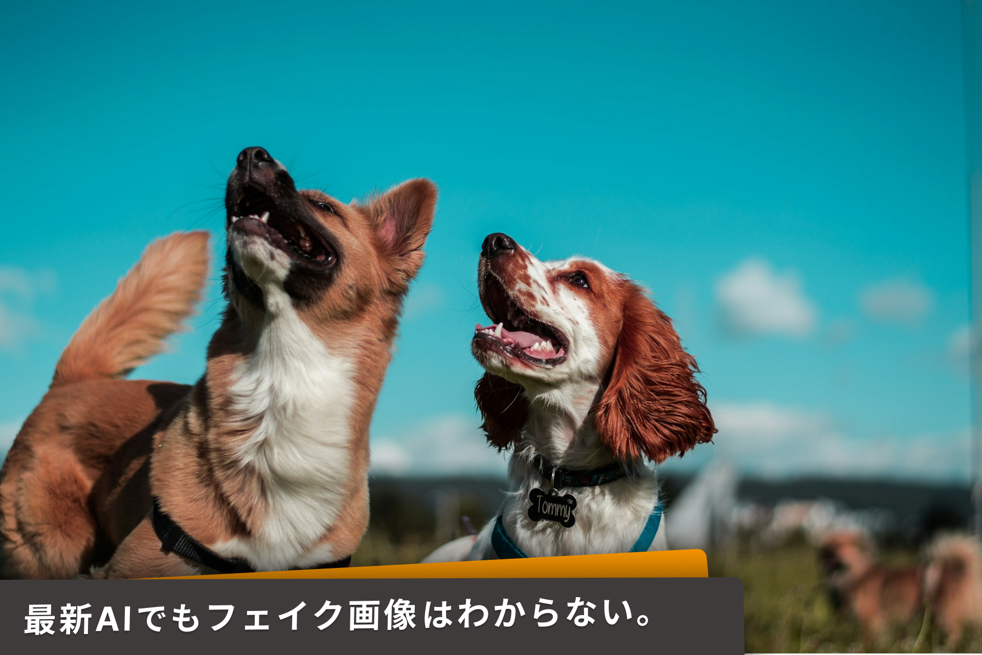 AIとフェイク画像事例。プロンプトと画像認識問題。