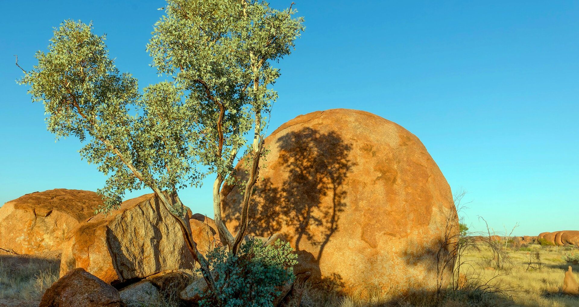 画像認識とオーストラリアのイメージ。