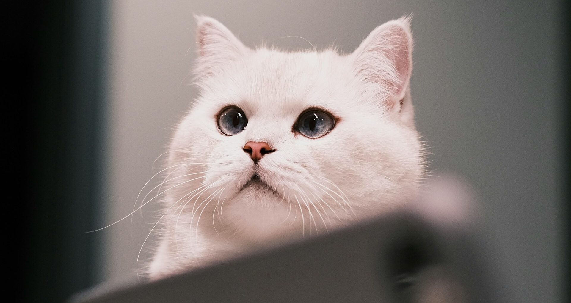 Gmailでの外部メール受信ができるPOP設定例。