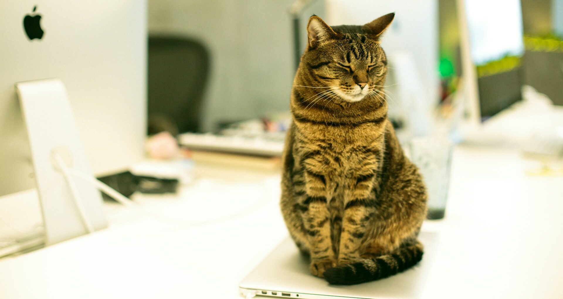 Gmailでの外部メール受信ができるPOP設定例。