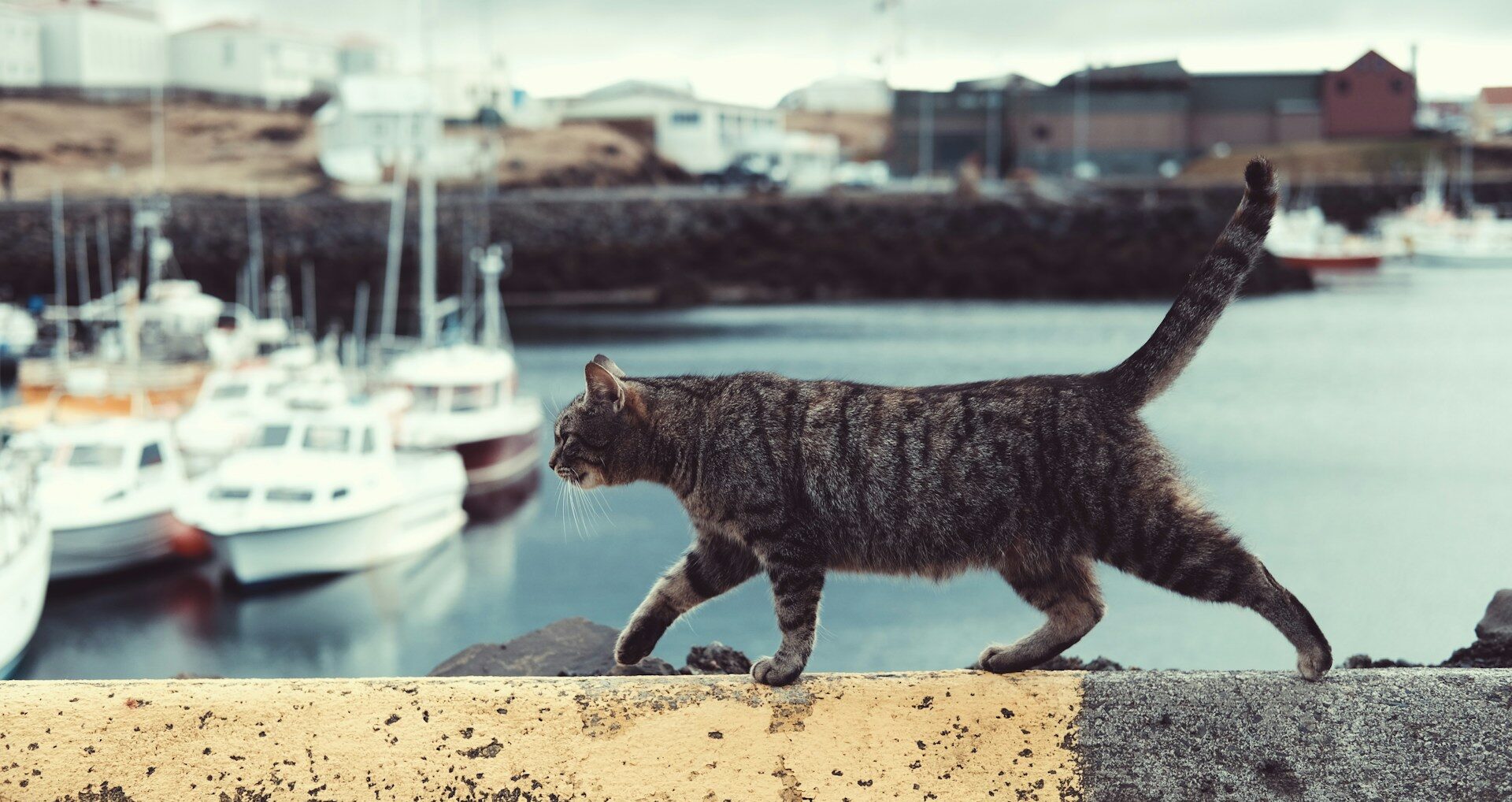 Illustratorのアウトライン化の確認・作成のイメージ。