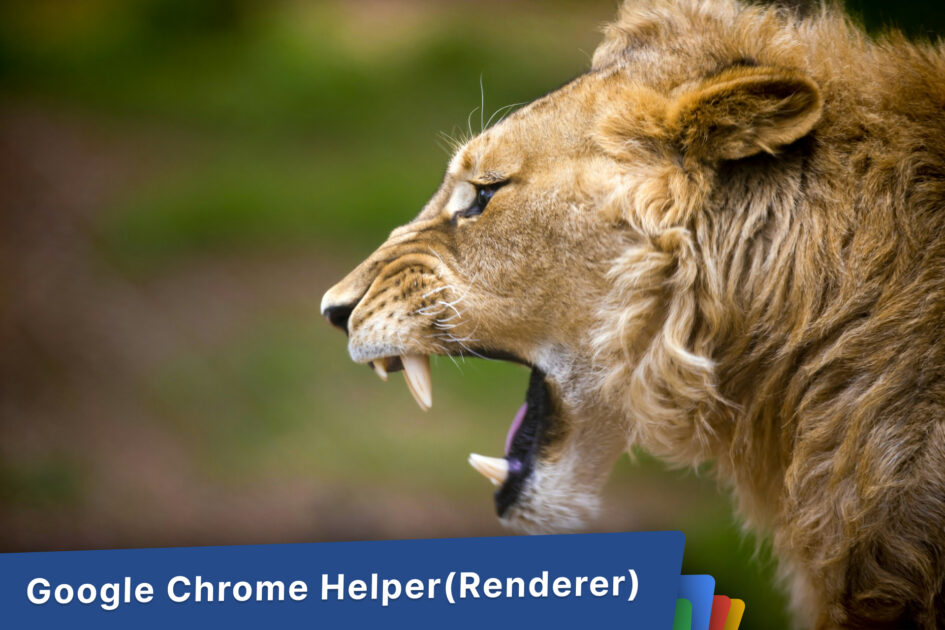 Google Chrome Helper(Renderer)がメモリ消費過剰で重たい。