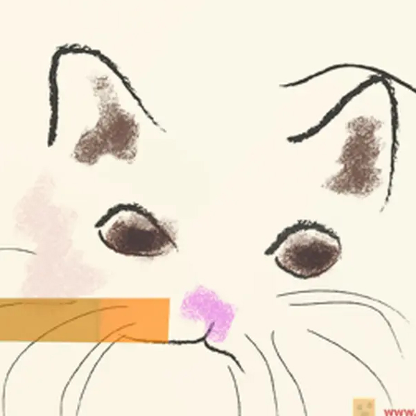 にゃんこ by いがわ