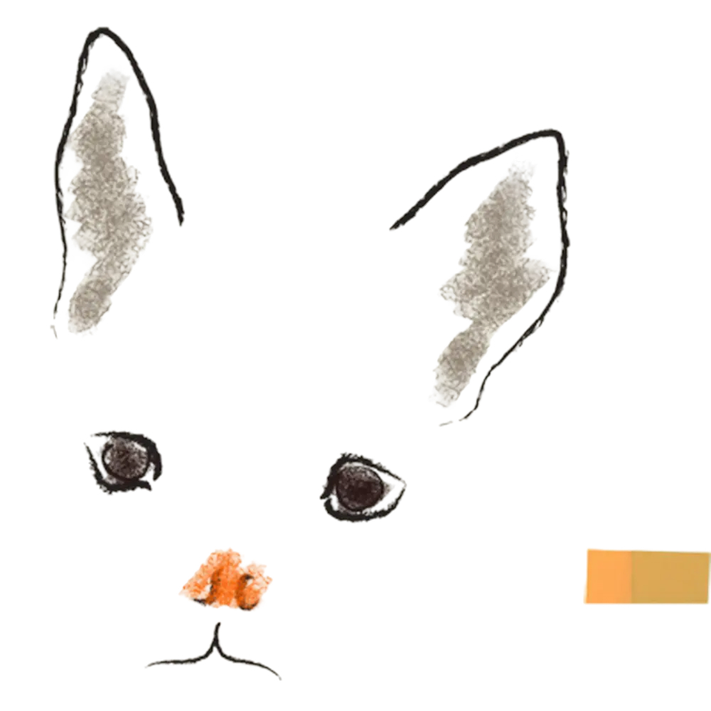 にゃんこ by いがわ