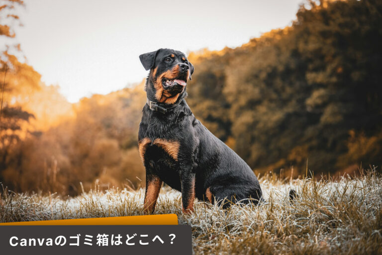 Canveのゴミ箱が見つからない、サイドバーやプロジェクトにないとき。