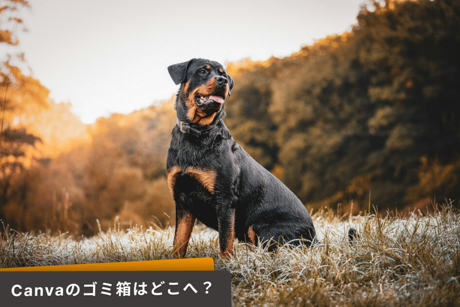 Canveのゴミ箱が見つからない、サイドバーやプロジェクトにないとき。