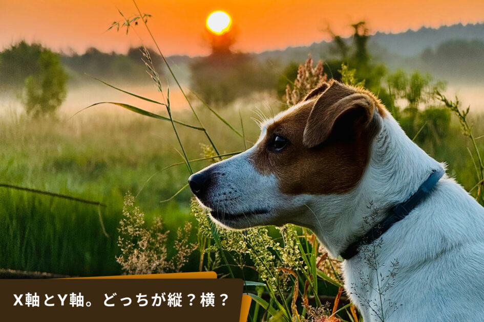 X軸とY軸のどっちが縦か横かの覚え方。