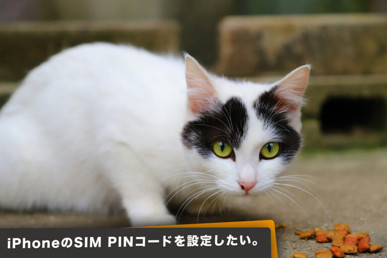 iPhoneのSIM PINコードを設定したいにゃんこ。