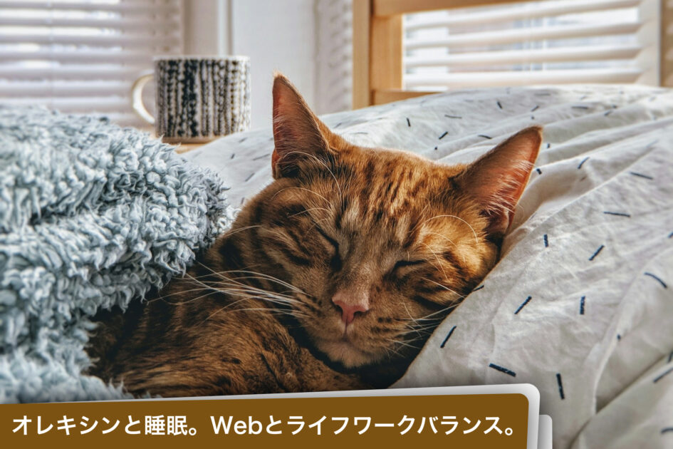 オレキシンと睡眠。Webとライフワークバランス。